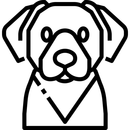 Dog 14854498